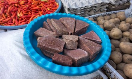 Bahan Terasi Merupakan Udang Yang Di Keringkan Lalu Di Masak