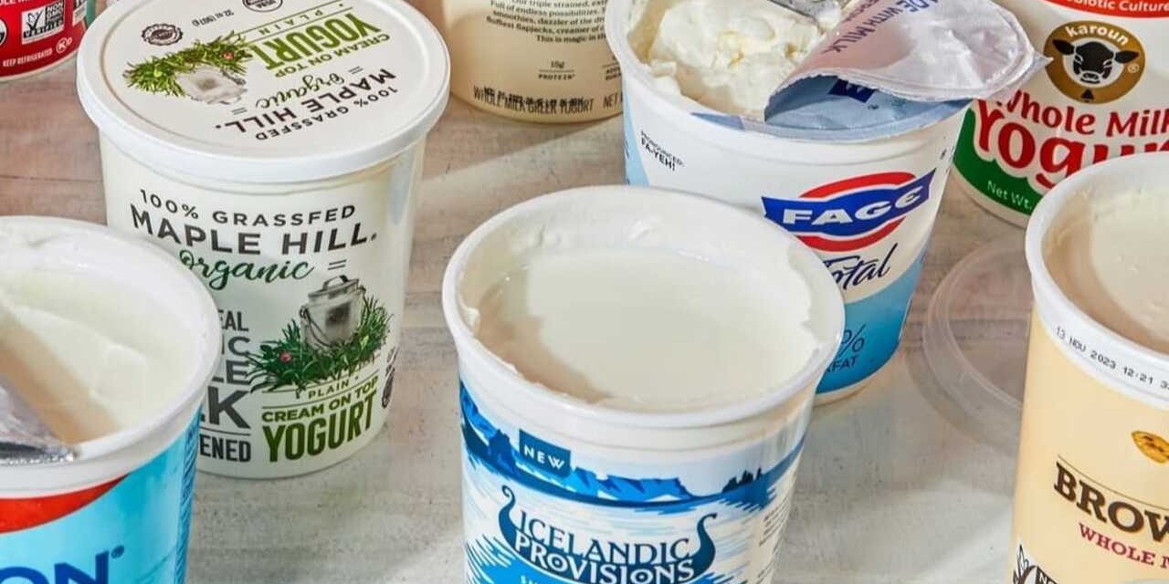 Susu Fermentasi Yang Di Olah Menjadi Minuman Yogurt