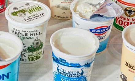 Susu Fermentasi Yang Di Olah Menjadi Minuman Yogurt