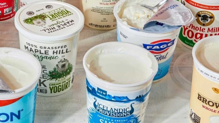 Susu Fermentasi Yang Di Olah Menjadi Minuman Yogurt