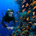 Kegiatan Air Menyelam Merupakan Olahraga Di Indonesia