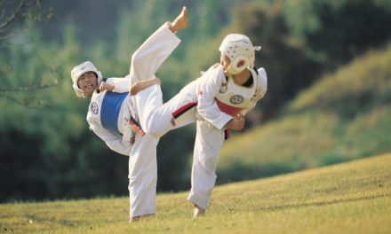 Olahraga Pertahanan Karate Dengan Tangan Kosong