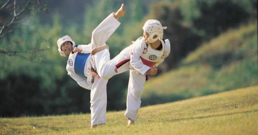 Olahraga Pertahanan Karate Dengan Tangan Kosong