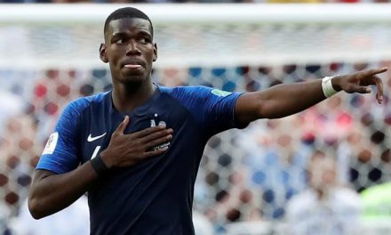 Pesepakbola Profesional Pogba Yang Berasal Perancis