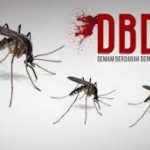 Penyakit Berbahaya DBD Dalam Beberapa Tahun Terakhir
