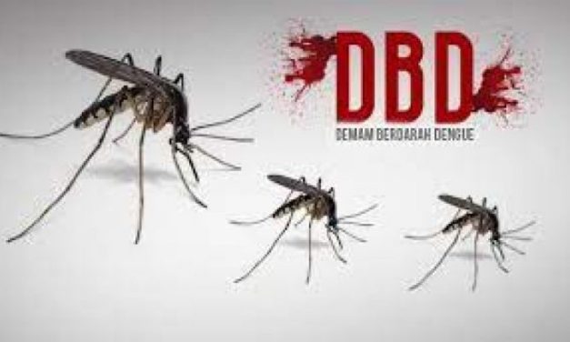 Penyakit Berbahaya DBD Dalam Beberapa Tahun Terakhir