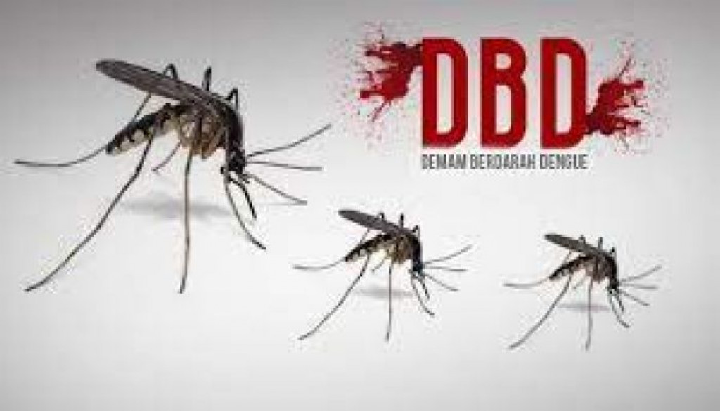 Penyakit Berbahaya DBD Dalam Beberapa Tahun Terakhir