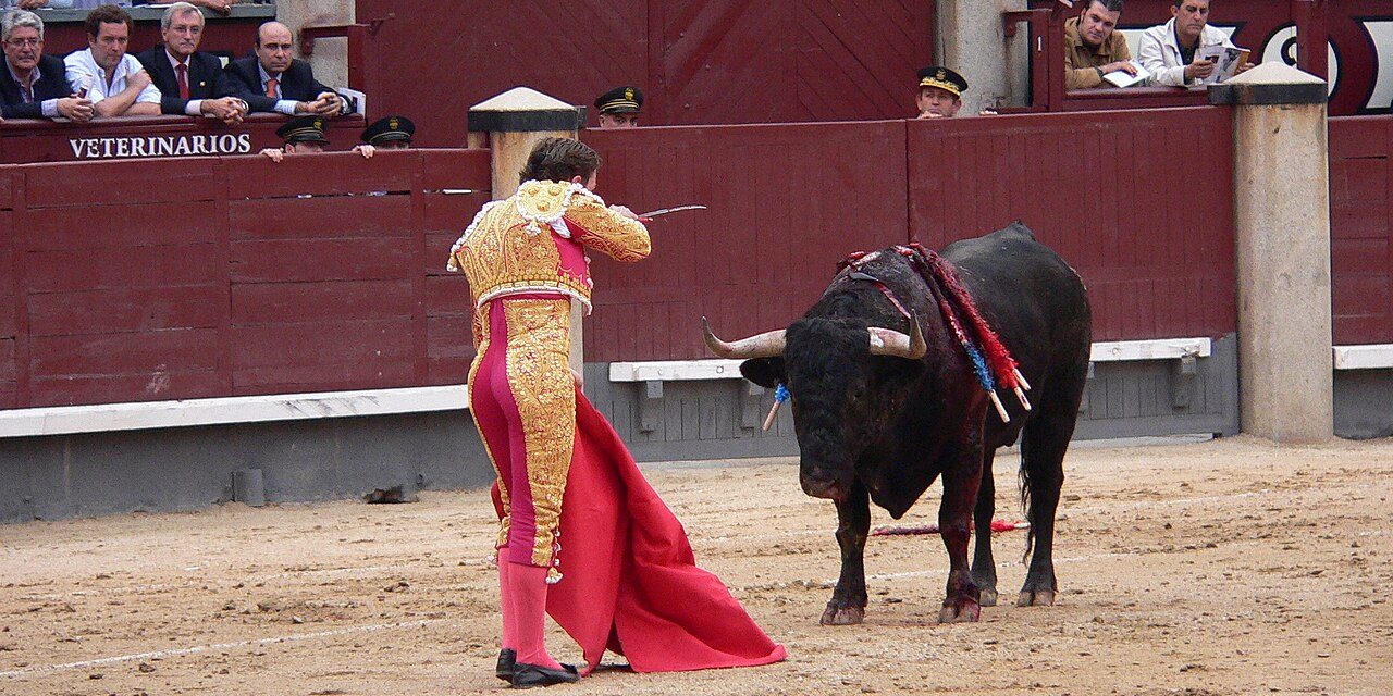 Kegiatan Adrenalin Matador Dengan Melawan Banteng