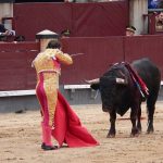Kegiatan Adrenalin Matador Dengan Melawan Banteng