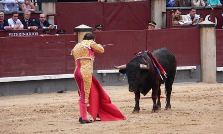 Kegiatan Adrenalin Matador Dengan Melawan Banteng