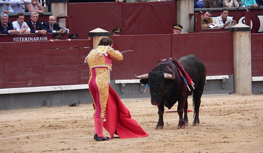 Kegiatan Adrenalin Matador Dengan Melawan Banteng