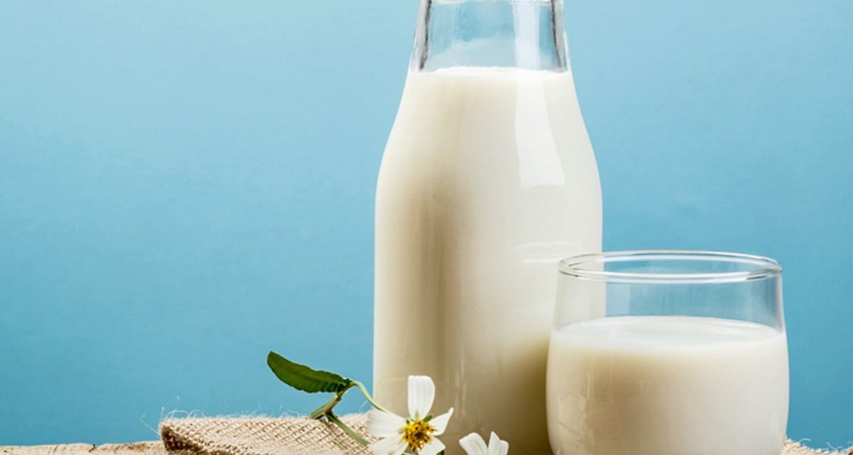 Sumber Nabati Susu Berasal Dari Hewan Alami