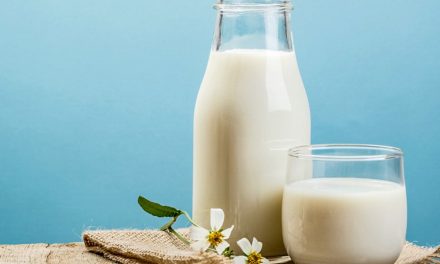 Sumber Nabati Susu Berasal Dari Hewan Alami