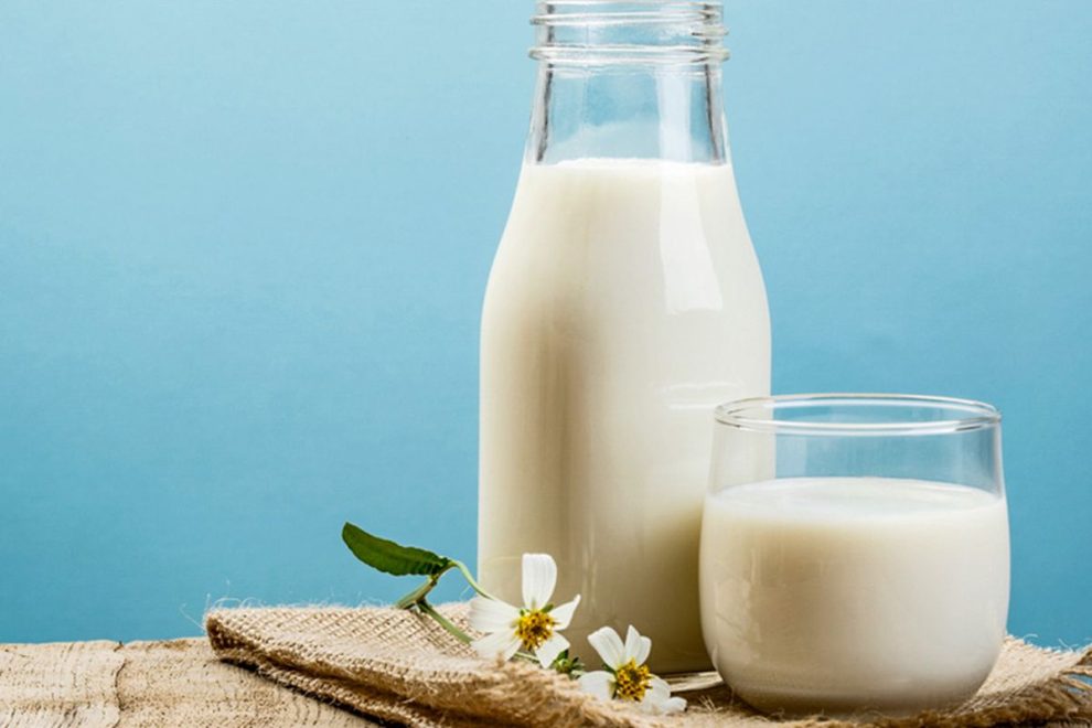 Sumber Nabati Susu Berasal Dari Hewan Alami