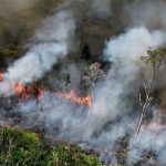 Kawasan Lingkungan Hutan Yang Mudah Terbakar