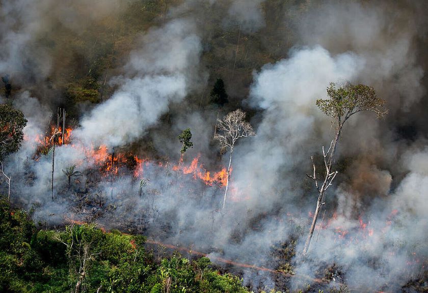 Kawasan Lingkungan Hutan Yang Mudah Terbakar