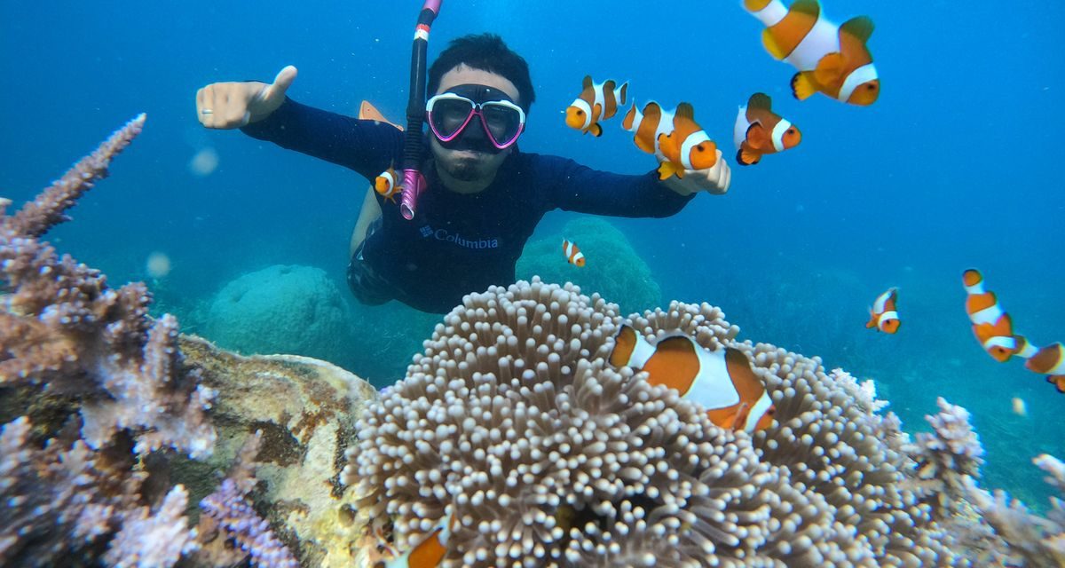 Aktivitas Air Laut Snorkeling Dengan Keamanan