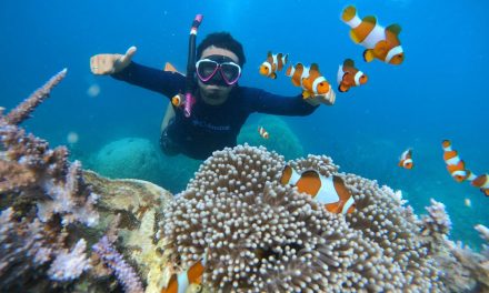 Aktivitas Air Laut Snorkeling Dengan Keamanan