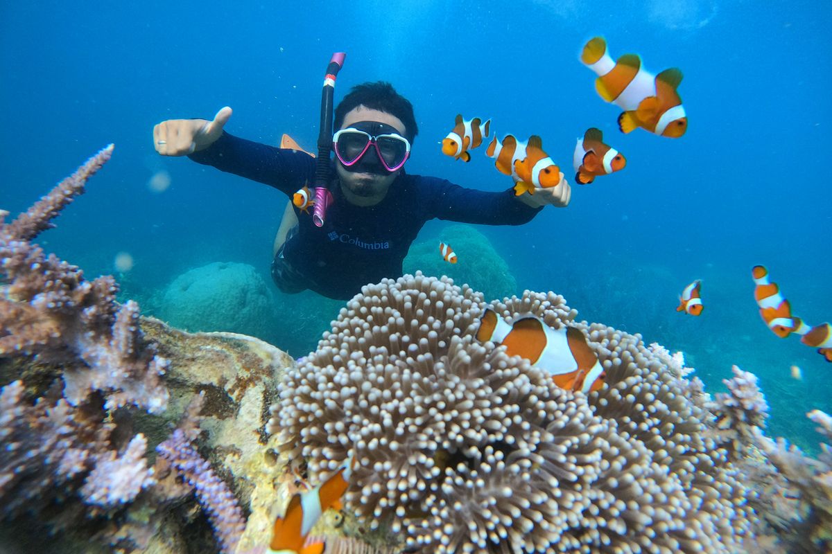 Aktivitas Air Laut Snorkeling Dengan Keamanan