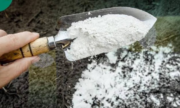 Sebuah Bahan Industri Kapur Dengan Berbagai Olahan