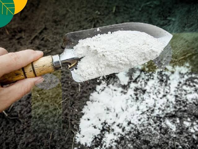 Sebuah Bahan Industri Kapur Dengan Berbagai Olahan