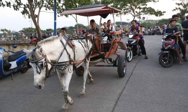 Keragaman Transportasi Unik Delman Dengan Kuda