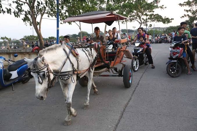 Keragaman Transportasi Unik Delman Dengan Kuda