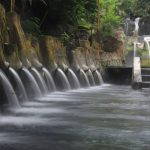 Suatu Barang Unik Guci Sebagai Wadah Atau Pajangan