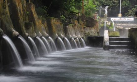 Suatu Barang Unik Guci Sebagai Wadah Atau Pajangan